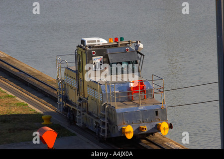 Panama-Kanal Mule Stockfoto