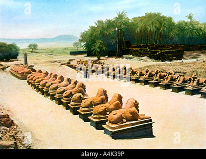 Avenue des RAM-headed Sphingen, Tempel des Amun-Re, Karnak, Luxor, Ägypten, 20. Artist: Unbekannt Stockfoto