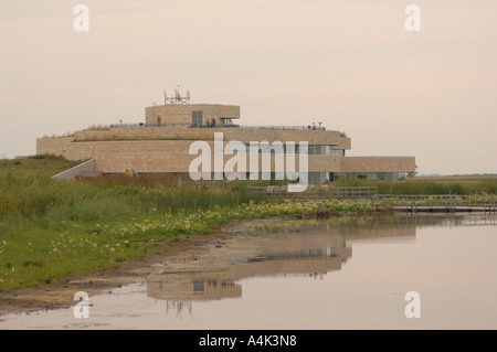 Eiche Hängematte Marsh Stockfoto