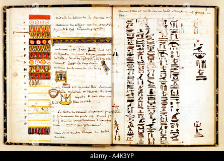 Hieroglyphen im Notebook von Jean-Francois Champollion, c 1806-1832. Artist: Jean-Francois Champollion Stockfoto