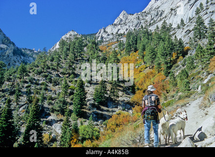 Menschen und Hunde auf ein Dayhike, Mt Whitney Trail Sierra Nevada Stockfoto