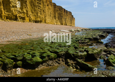 Kalkstein Fahrbahn in Burton Bradstock auf der Jurassic Coast von Dorset Stockfoto