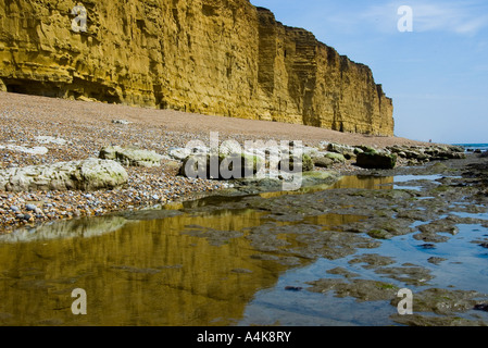 Kalkstein Fahrbahn in Burton Bradstock auf der Jurassic Coast von Dorset Stockfoto