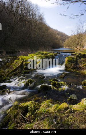 Ein Wasserfall auf dem Fluß Lathkill in Lathkill Dale im Peak District in Derbyshire Stockfoto