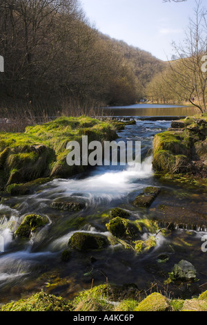 Ein Wasserfall auf dem Fluß Lathkill verläuft durch Lathkill Dale im Peak District in Derbyshire Stockfoto