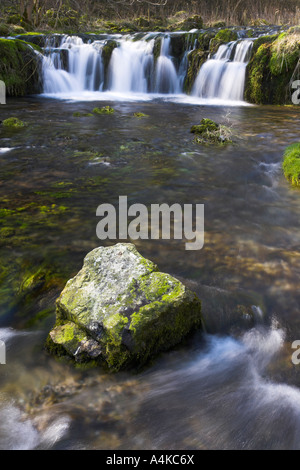 Blick auf einen Wasserfall auf dem Fluß Lathkill verläuft durch Lathkill Dale im Peak District in Derbyshire Stockfoto