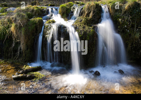 Blick auf einen Wasserfall auf dem Fluß Lathkill verläuft durch Lathkill Dale im Peak District in Derbyshire Stockfoto