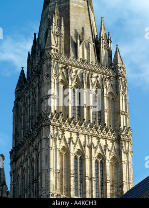 Salisbury Wiltshire England Salisbury Cathedral höchster Spire in Großbritannien Stockfoto