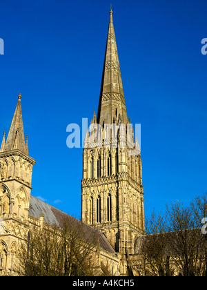 Salisbury Wiltshire England Salisbury Cathedral höchster Spire in Großbritannien Stockfoto