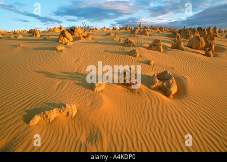 Australien, Pinnacles Desert Stockfoto