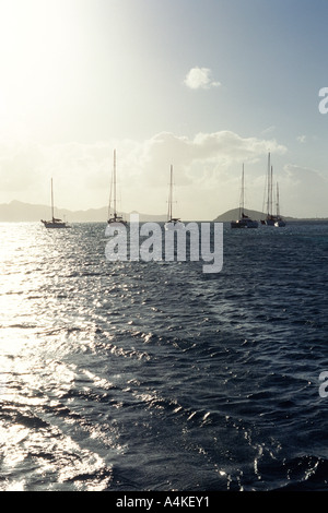 West Indies, Grenadinen, Tobago Cays, Segelboote auf dem Meer Stockfoto