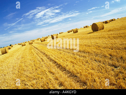 Heuballen im Feld Stockfoto