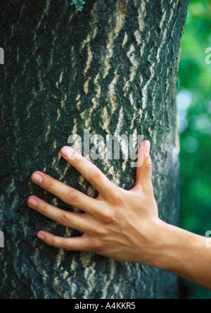 Hand zu berühren Baumstamm, close-up Stockfoto