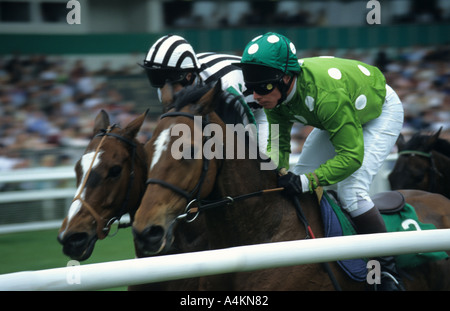 Kopf an Kopf am Uttoxeter Stockfoto