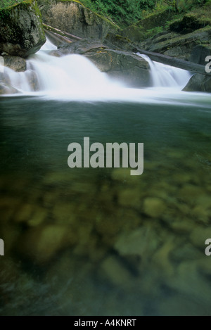 Wasserfall auf dem Tye River in Mount Baker Snoqualmie National Forest, Cascade Mountain Range, Washington, USA Stockfoto