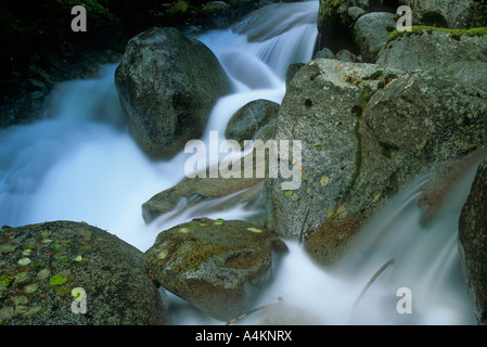 Wasserfall auf dem Tye River in Mount Baker Snoqualmie National Forest, Cascade Mountain Range, Washington, USA Stockfoto