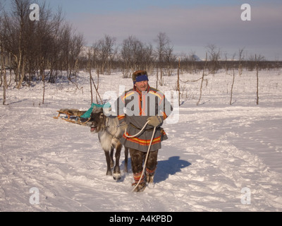 Skandinavien Schweden Lappland Sami Mann führenden weiblichen Rentier Schlitten ziehen Stockfoto