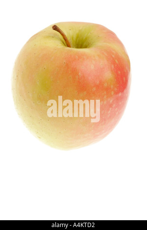 Einzelne Pink Lady Apfel auf weißem Hintergrund Stockfoto