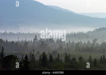 Foggy Mountain Morgen Canaan Valley West Virginia Stockfoto