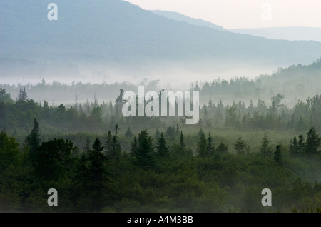 Foggy Mountain Morgen Canaan Valley West Virginia Stockfoto