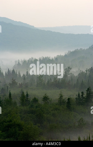 Foggy Mountain Morgen Canaan Valley West Virginia Stockfoto