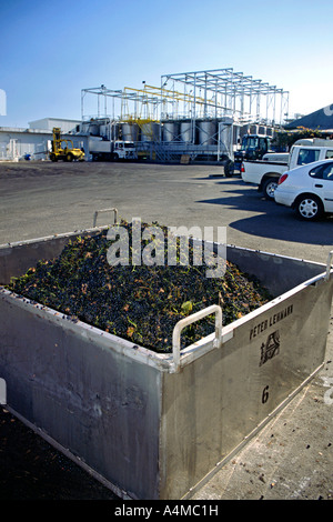 Ein Container voller Trauben bei Peter Lehmann Wines in South Australia Barossa Valley. Stockfoto