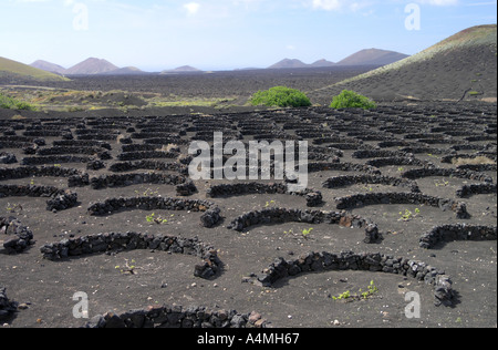 Lanzarote-Kanarische Inseln-Spanien Stockfoto