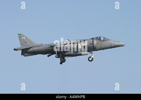 BAE Harrier GR7 Stockfoto