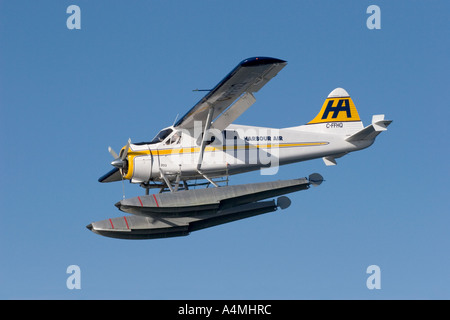 De Havilland Beaver DHC2 Wasserflugzeug Stockfoto