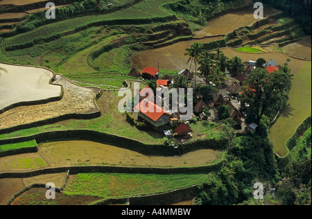 Terrassierte Reisfelder bei Bangaan (Philippinen). Rizières En Terrasses À Bangaan (Philippinen). Stockfoto