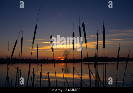 Sonnenuntergang über der Region Brenne (Indre - Frankreich). Coucher de Soleil de Brenne (Indre - Frankreich). Stockfoto