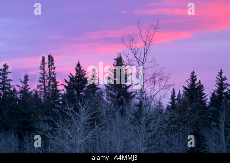 Berg Sonnenaufgang; Morgendämmerung in den Rockies frühmorgens im Banff Nationalpark, Alberta, Kanada Stockfoto