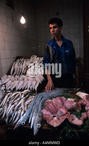 Marokko Fes El Bali Fischhändler in den Souks der medina Stockfoto