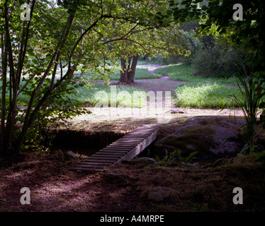 Garten Brücke über Stream unter Bäumen und in einer Wiese. Limoges Frankreich Stockfoto