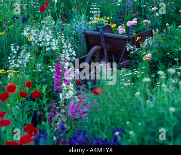 BLUMENGARTEN UND FLOWER ARRANGEMENT IN ALTE SCHUBKARRE / PENNSYLVANIA Stockfoto