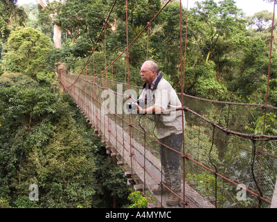 Malaysia Borneo Sabah Danum Valley Tourist auf Regenwald Treetop walkway Stockfoto