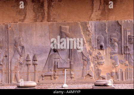 Eine Erleichterung des Darius I von Persien, auch bekannt als Darius der große, Persepolis, Iran Stockfoto