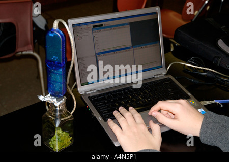 Student-Typen Schlüssel Dateneingabe in Laptop verbunden mit CO2-Sensor mit grünen Blättern Photosynthese zu untersuchen Stockfoto