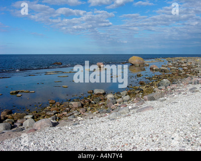 erratischen Blöcken Steinen große Granit an der Küste des nördlichen Nordpunkt der Insel Olands Norra Udden Öland Schweden Stockfoto