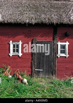 Tür an Wand von einem roten Holzhaus mit Reetdach Insel Öland Öland Stockfoto