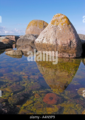 erratischen Blöcken Steinen große Granit an der Küste des nördlichen Nordpunkt der Insel Olands Norra Udden Öland Schweden Stockfoto