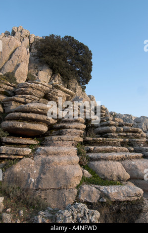 Geologischem Interesse Bereich des Torcal de Antequera Malaga Spanien Stockfoto