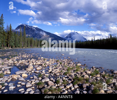 CA - ALBERTA: Athabasca River in den Rocky Mountains National Park Stockfoto