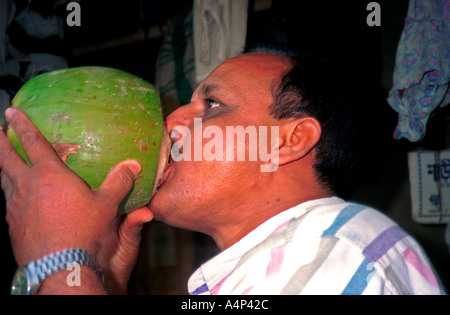 Mann trinkt Milch aus jungen grünen Kokosnuss Bangladesch Stockfoto