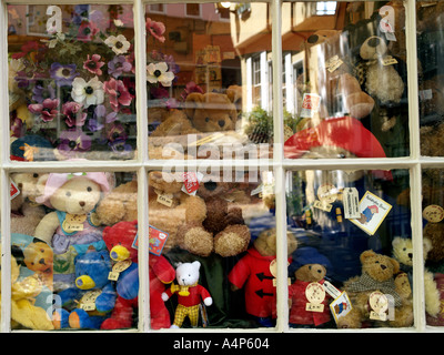 Fenster der SPIELZEUG SHOP IN ELM HILL mit Reflexion, Norwich Norfolk East Anglia ENGLAND GROSSBRITANNIEN Stockfoto