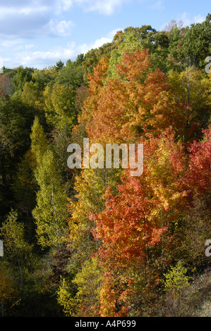 Michigan Herbst Farbe Glanz Stockfoto
