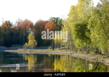 Michigan Herbst Farbe Glanz Stockfoto