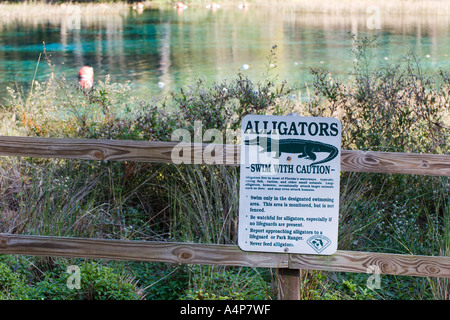 Schild warnt Schwimmer vor Alligatoren am Frühlingskopf des Rainbow River im Rainbow Springs State Park in der Nähe von Dunnellon, Florida, USA Stockfoto