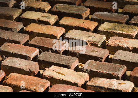 In einem einheitlichen Muster platzierte Ziegelsteine für einen Fußweg im Rainbow Springs State Park in der Nähe von Dunnellon, Florida, USA Stockfoto