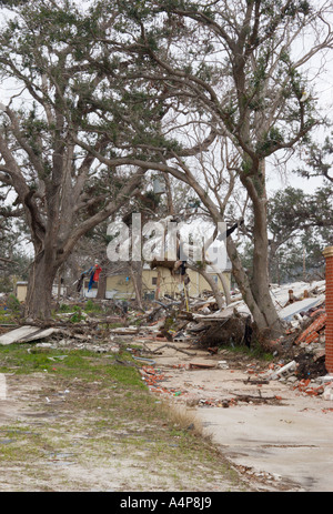 Hurrikan Katrina hängt noch sechs Monate nachdem der Sturm die Golfküste von Mississippi verwüstet hatte, in Bäumen Stockfoto